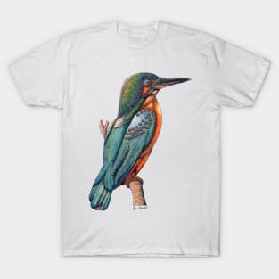 Semi-mechanical Kingfisher T-Shirt